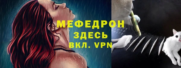 сатива Надым