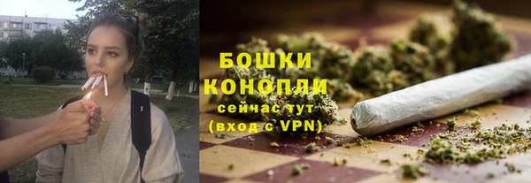 сатива Надым