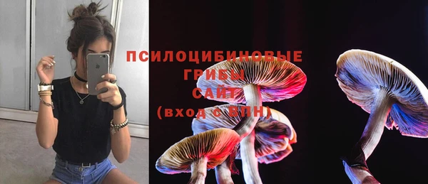 скорость Абаза