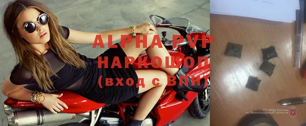 сатива Надым