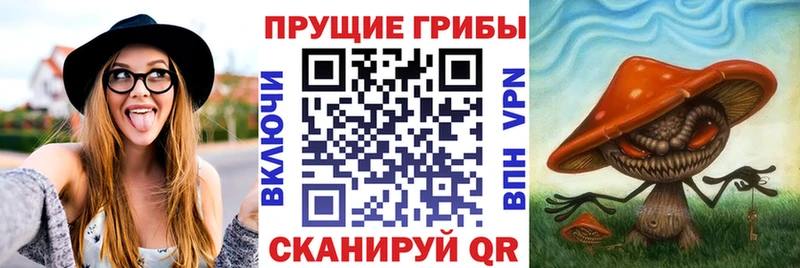 даркнет сайт  Электросталь  Псилоцибиновые грибы прущие грибы 